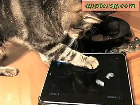3 gratis iPad spil til katte (seriøst)