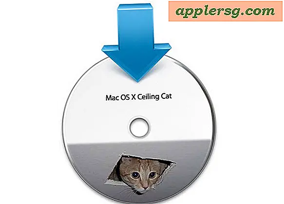 Mac OS X 10.7 "Ceiling Cat" Alpha Build