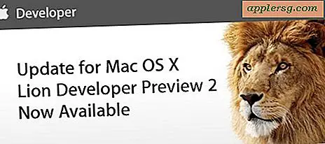 Mac OS X Lion Dev Preview 2 Opdateret udgivet, Developer Preview 3 Soon?