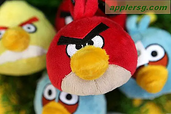 Hur man laddar ner Angry Birds Game för Nook Color