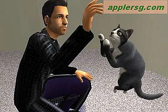 Sådan installeres Sims 2 kæledyr