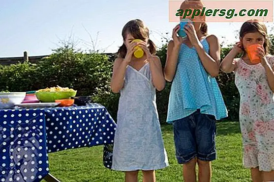 Udendørs picnic-spil for børn i alderen 5-12