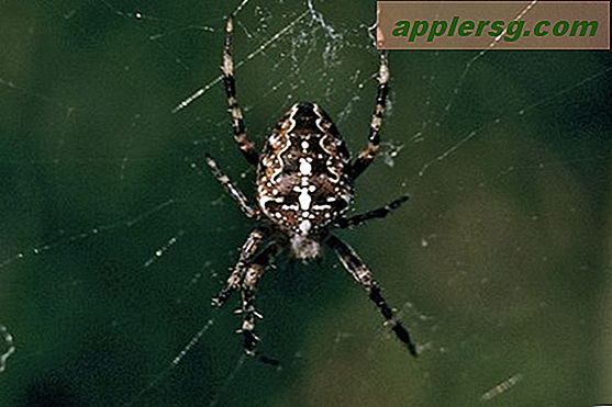So entfernen Sie den Antispy-Spider-Virus von einem Computer