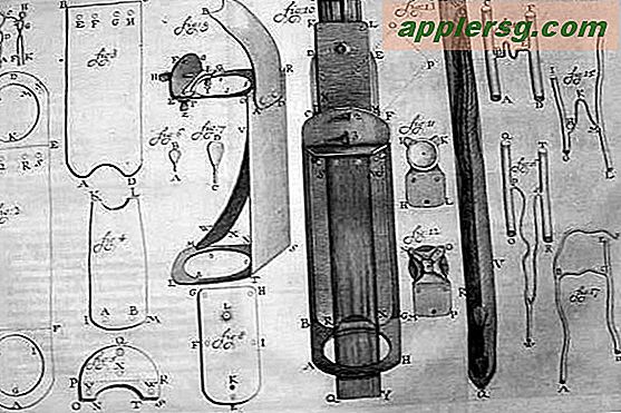 Sådan fungerer Leeuwenhoeks mikroskop