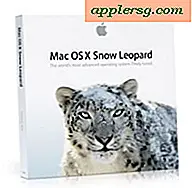 Mac OS X 10.6 Snow Leopard udgives denne fredag ​​den 28. august