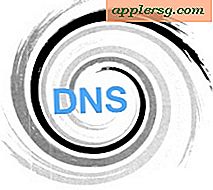 DNS-caches wissen in eerdere versies van Mac OS X (10.3, 10.2, 10.1)