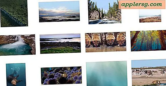 12 Beautiful Hidden Nature Wallpapers van Apple voor Earth Day