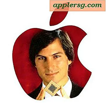 Officiel Steve Jobs Biografi "iSteve: The Book of Jobs" Nu tilgængelig for Pre-Order