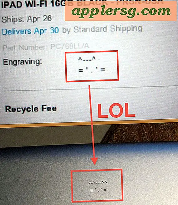Oops: iPad Gravierfehler von Apple gibt ein ASCII Cat 4 Ears