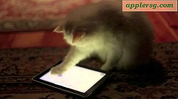 iPad spil til katte