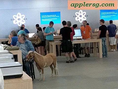 Ein Pferd im Apple Store, ja ernsthaft, ein Pferd