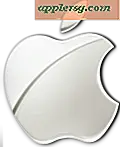 Apple-poster rekordintäkter och Mac-försäljning