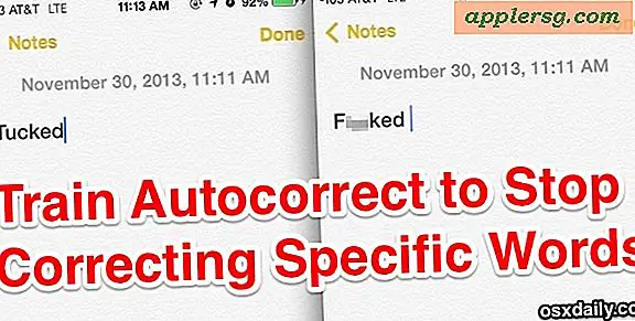 Entraînez la correction automatique iOS pour arrêter de corriger des mots spécifiques