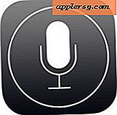 Speel en beheer iTunes Radio Stations met Siri