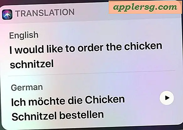 Wie man Sprachen mit Siri auf iPhone und iPad übersetzt