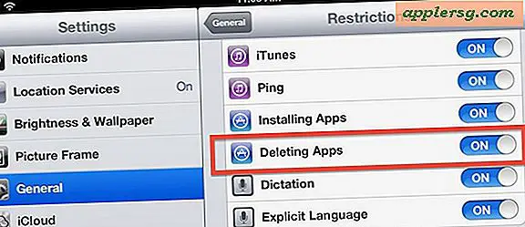 Verhindern Sie, dass Apps auf einem iPad, iPhone oder iPod touch gelöscht werden