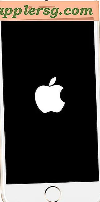 iPhone fast på Apple Logo?  Her er 4 måder at rette op på
