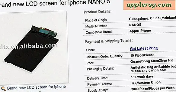 Vermeend "iPhone Nano" -scherm en -koffers beschikbaar voor een onuitgegeven product?