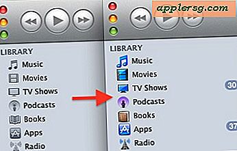 Erhalte farbige Symbole in der iTunes 10-Seitenleiste