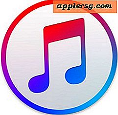 Sådan Find Duplicate Songs i iTunes 12