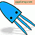 Squid Manager - Web Proxy Cache Manager til Mac OS X