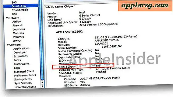 Mac OS X 10.6 for at få SSD TRIM Support?  Ny MacBook Pro Foreslå Ja