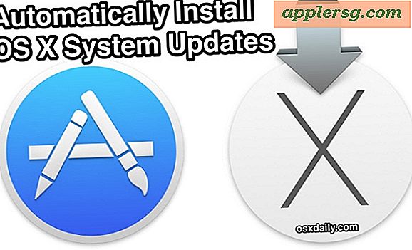 Installer automatisk Mac OS X-opdateringer på en Mac