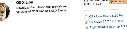 Første Beta af OS X Lion 10.7.3 Seeded til Mac Developers