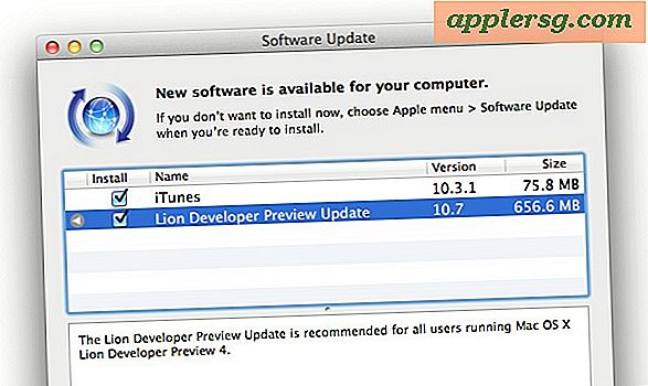 Mac OS X Lion Developer Preview 4 Update uitgebracht om te downloaden