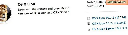 OS X 10.7.3 Bêta Build 11D46 poussé aux développeurs