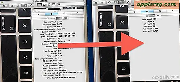 So entfernen Sie EXIF-Daten aus Bildern auf Mac schnell