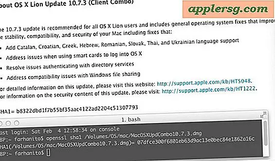 Mac OS X 10.7.3 Combo tyst uppdaterad?