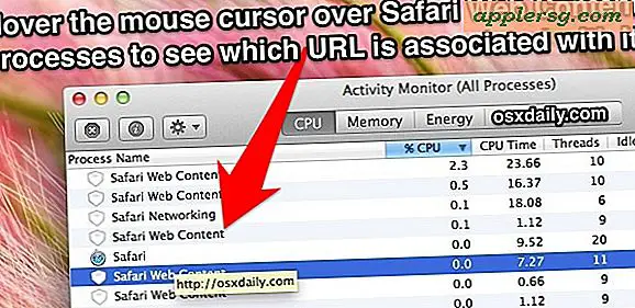 Vis webadressen til 'Safari Web Content' -proces-id i Activity Monitor til OS X