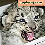 Waarschuwing!  Obscure Snow Leopard-bug verwijdert hele gebruikersaccounts!