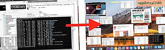 See All Open Windows auf einem Mac mit Mission Control