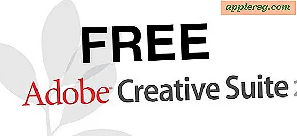 Nevermind, Ingen gratis downloads af Adobe Photoshop, Illustrator, og CS2