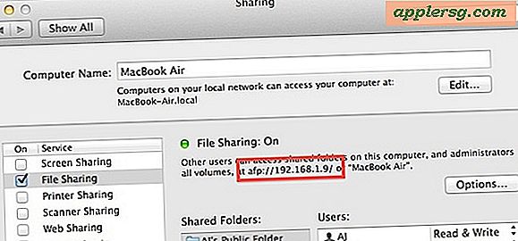 Network file sharing