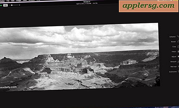 Applica le regolazioni dell'immagine ad altre foto su Mac con Copia e incolla
