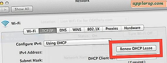 Come rinnovare un lease DHCP in Mac OS X