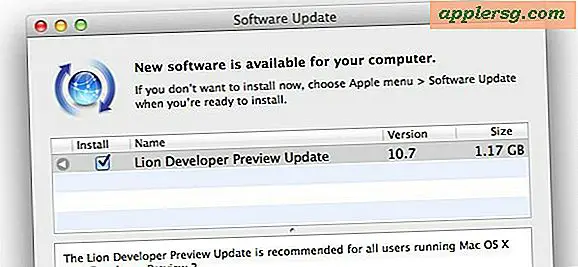 Mac OS X Lion Developer Preview 2 Update 2 uitgebracht voor Devs