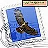 Fix Letterbox Mail-plug-in voor Mac OS X 10.6.5