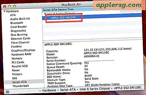 Bestem producenten af ​​din Macs SSD (harddisk)