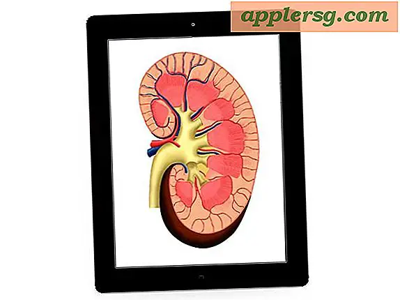 Jugendlicher verkauft seine Niere, um ein iPad 2 zu kaufen