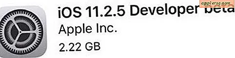 iOS 11.2.5 Beta 1 frigivet til test
