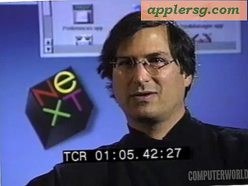 Steve Jobs Interview fra 1995 [Video]